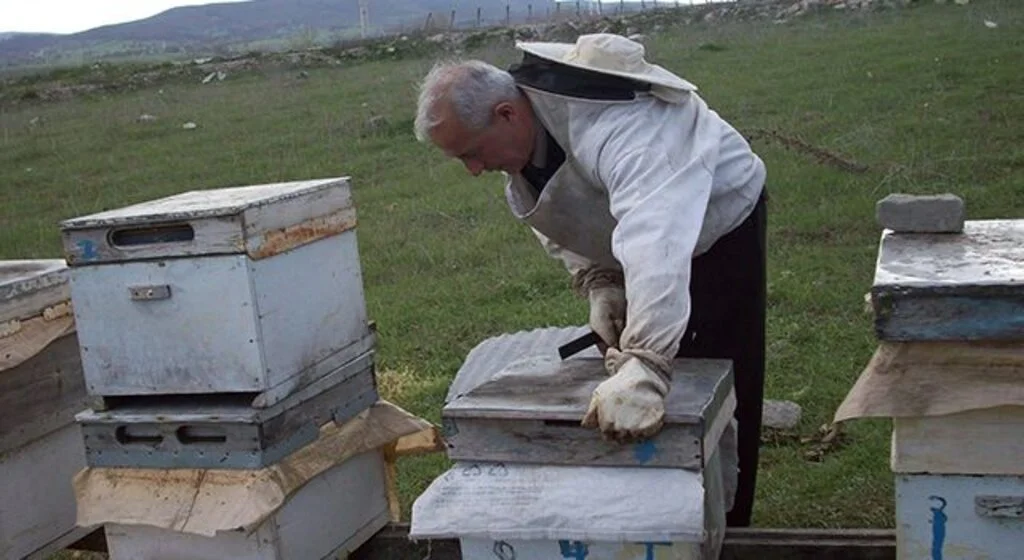 Arıcılara sonbahar bakımı uyarısı