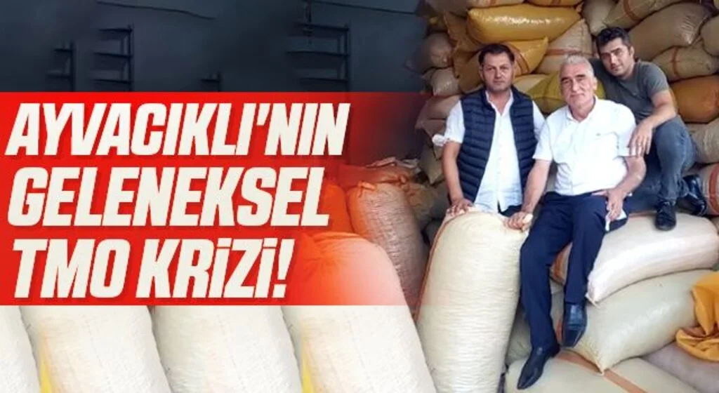 Ayvacıklı'nın geleneksel TMO krizi!