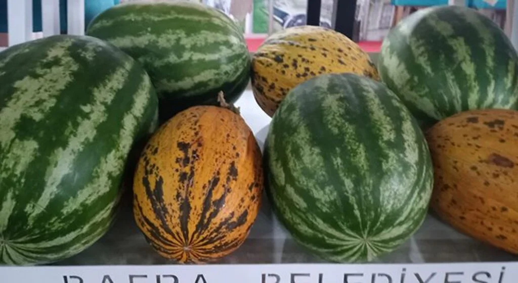 Bafra'nın ürünleri görücüye çıktı