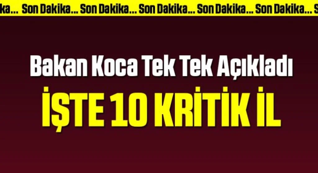 Bakan Koca tek tek açıkladı! İşte vaka sayısı en çok artan 10 il