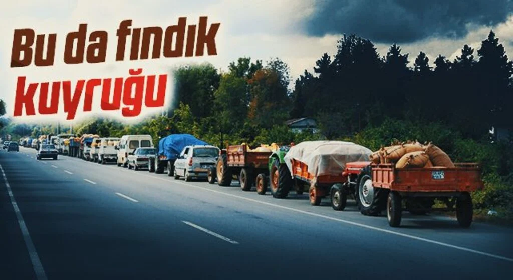 Bu da fındık kuyruğu
