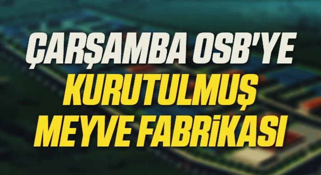 Çarşamba OSB'ye kurutulmuş meyve fabrikası
