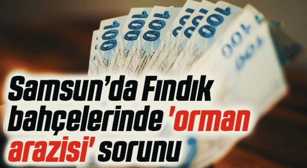 Fındık bahçelerinde 'orman arazisi' sorunu