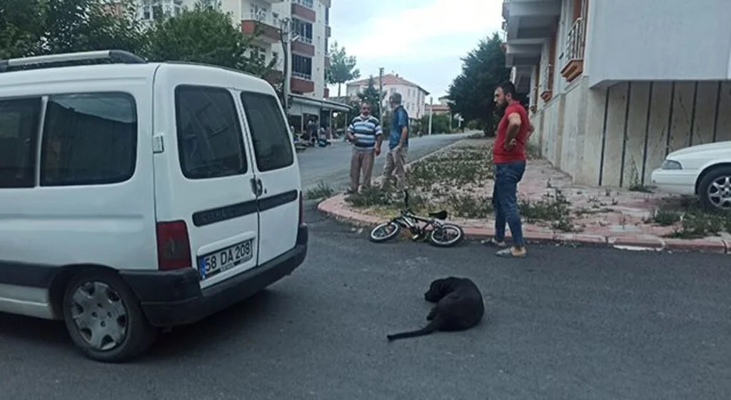 Hafif ticari araca çarpan bisikletli çocuk yaralandı