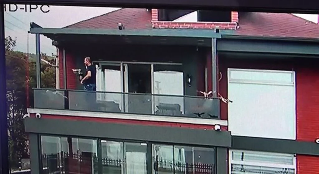 Nesli tükenmekte olan kuş sürüsü villaya daldı