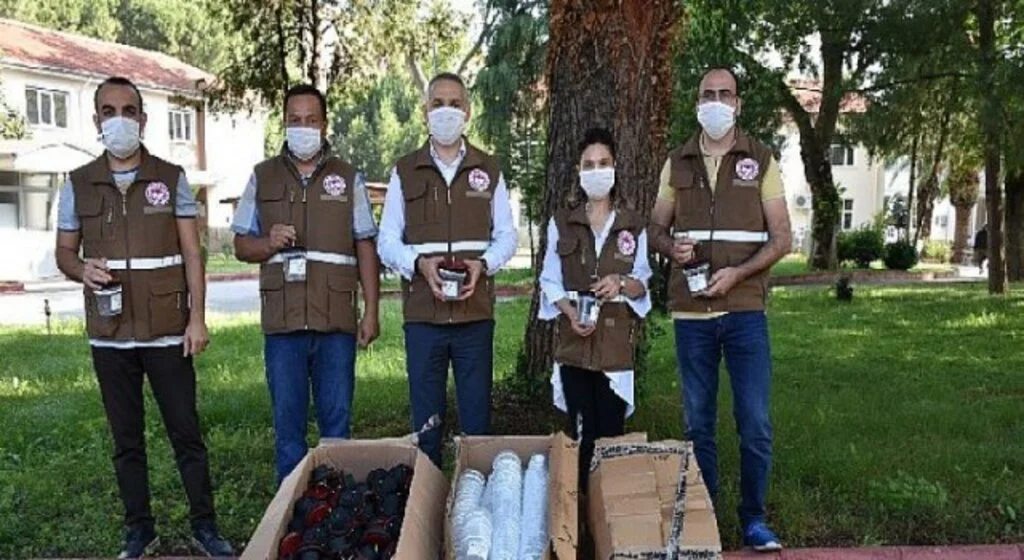 Rekolte kaybını önlemek için Akdeniz Meyve Sineği ile bölgesel mücadele çağrısı