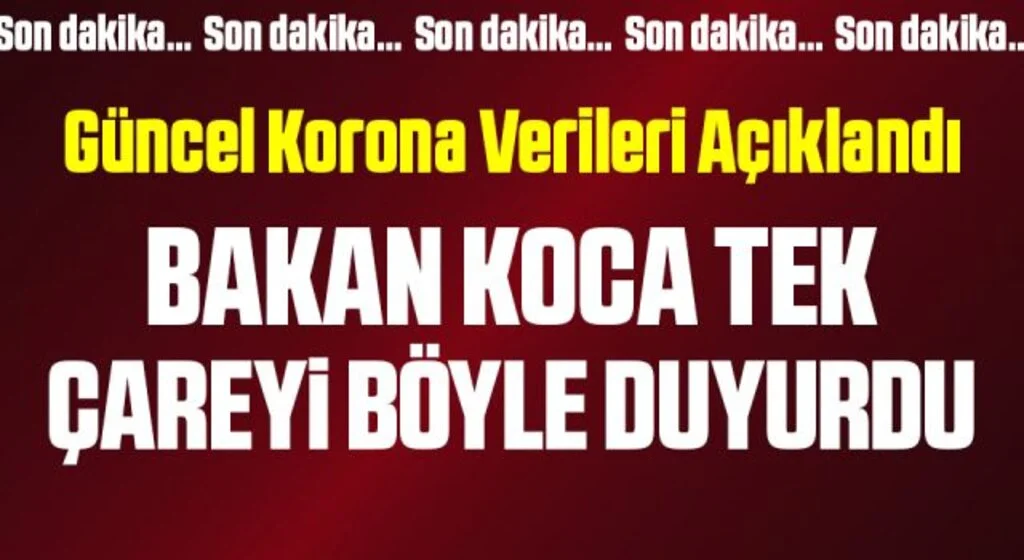 Sağlık Bakanı Fahrettin Koca kritik tabloyu paylaştı! İşte vaka ve vefat sayısında son durum