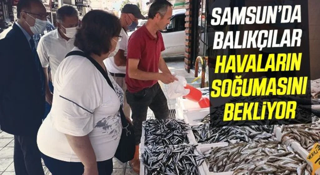Samsun'da balıkçılar deniz suyu sıcaklıklarının düşmesini bekliyor