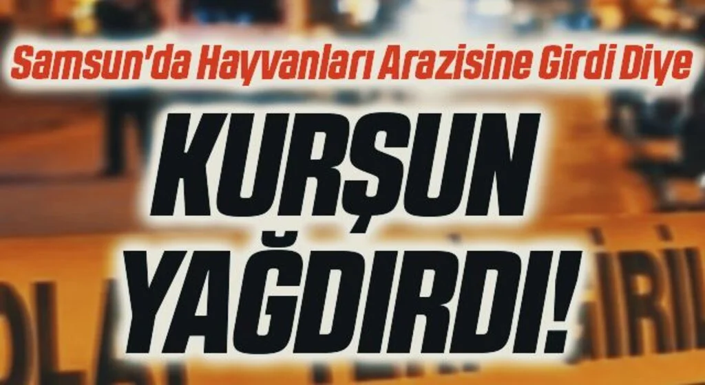 Samsun'da Hayvanları Arazisine Girdi Diye Kurşun Yağdırdı!