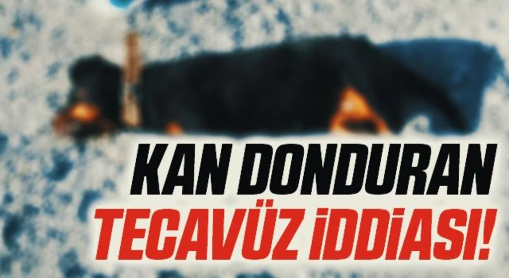 Samsun'da Kan Donduran Tecavüz İddiası!