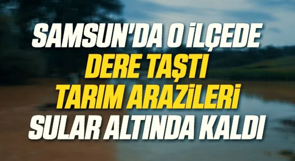 Samsun'da O İlçede Dere Taştı Tarım Arazileri Sular Altında Kaldı