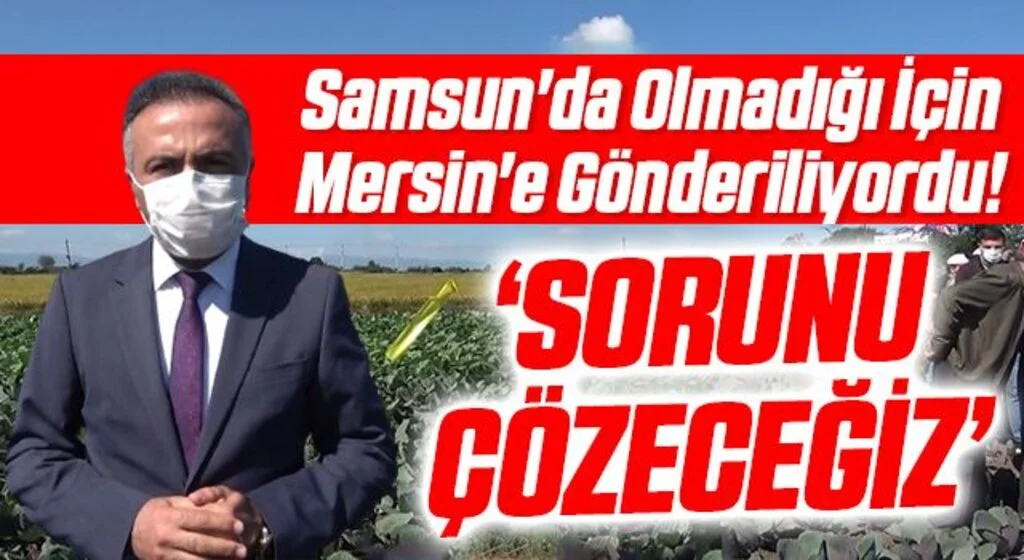 Samsun'da Olmadığı İçin Mersin'e Gönderiliyordu! Daire Başkanı Dilber: Sorunu Çözeceğiz