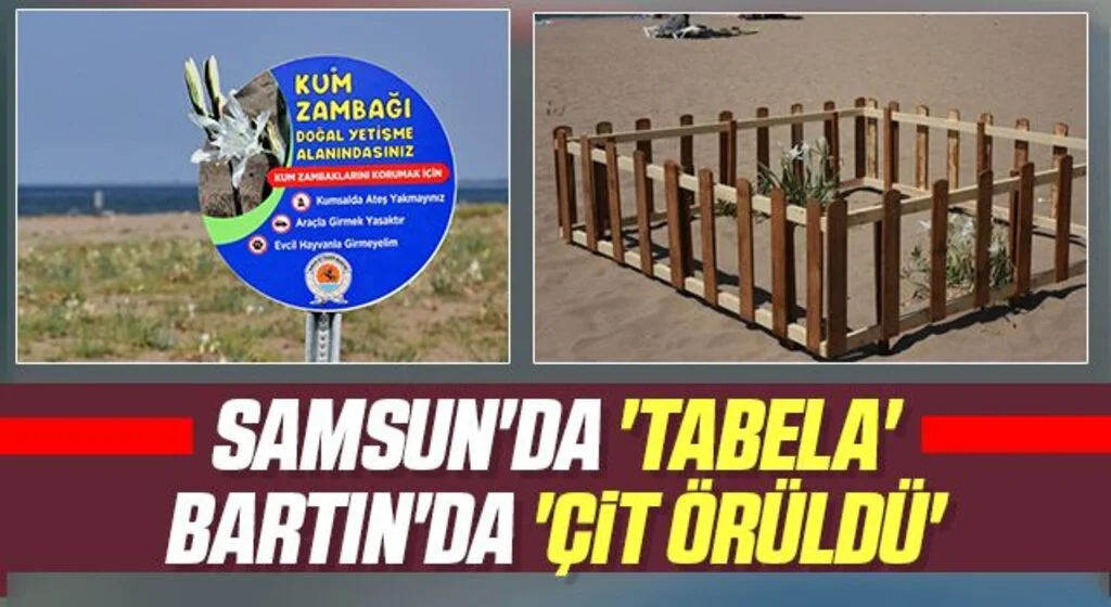 Samsun'da 'tabela' Bartın'da 'çit örüldü'