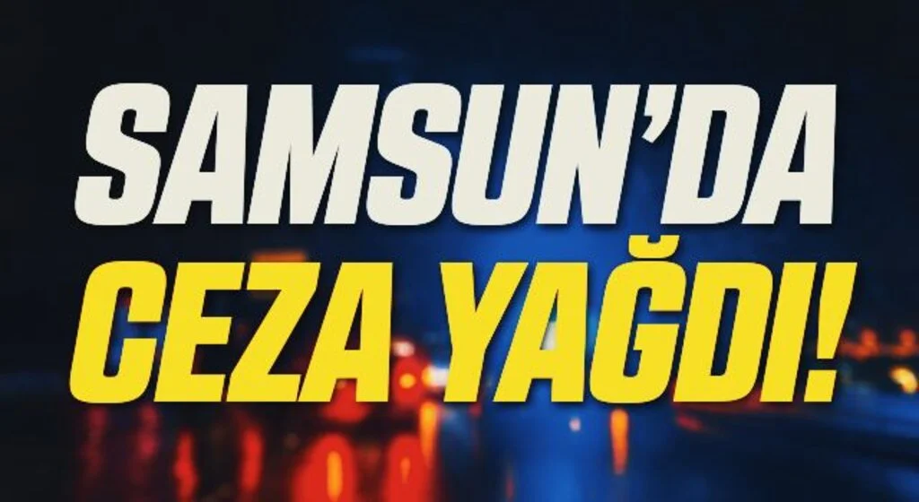 Samsun’da “Türkiye Güven Huzur ve Çocuk Uygulaması”