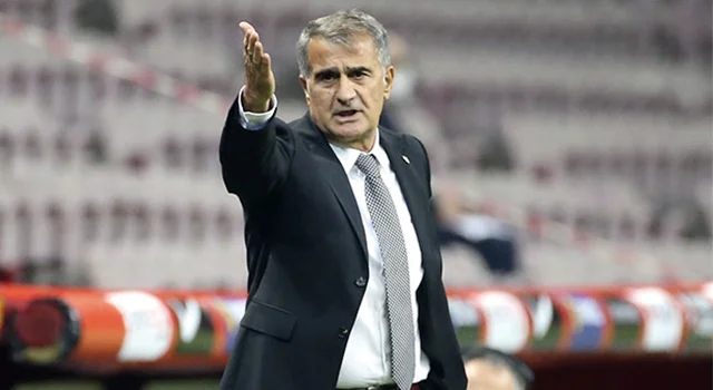 Şenol Güneş, ne kadar tazminat aldı?