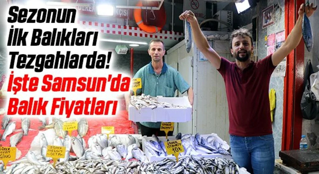 Sezonun İlk Balıkları Tezgahlarda! İşte Samsun'da Balık Fiyatları