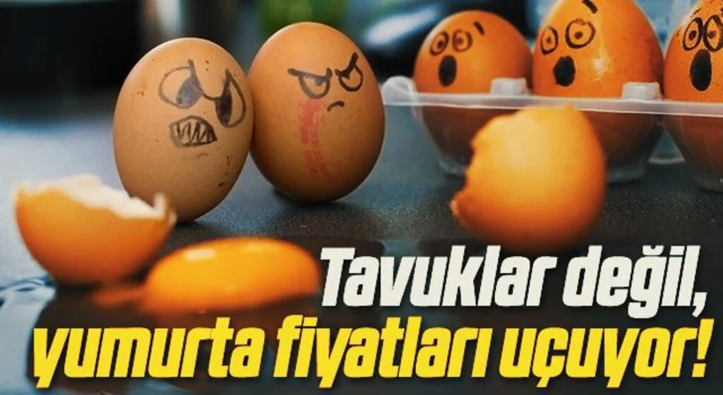Tavuklar değil, yumurta fiyatları uçuyor!
