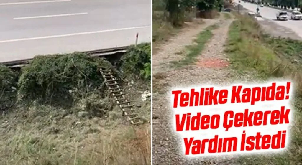 Tehlike Kapıda! Video Çekerek Yardım İstedi