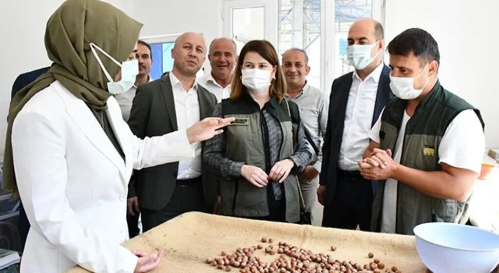 Terme Belediye Başkanı Kılıç: “Fındık bizim olmazsa olmazımız”