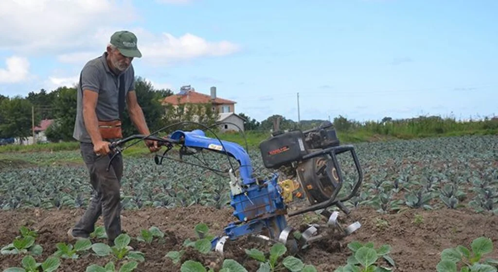 Yazlık sebzeden yüzü gülen çiftçinin kışlık umudu