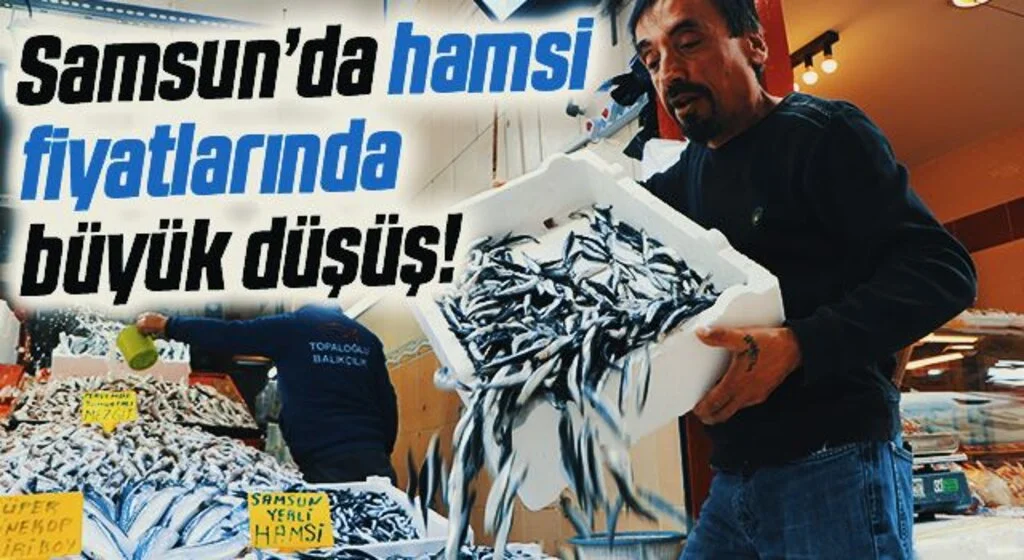 1 hafta önce 40 TL olan hamsi 15 TL’ye kadar düştü