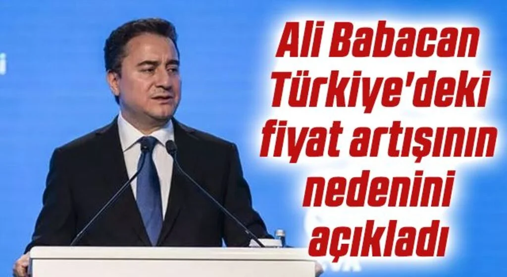 Ali Babacan Türkiye'deki fiyat artışının nedenini açıkladı