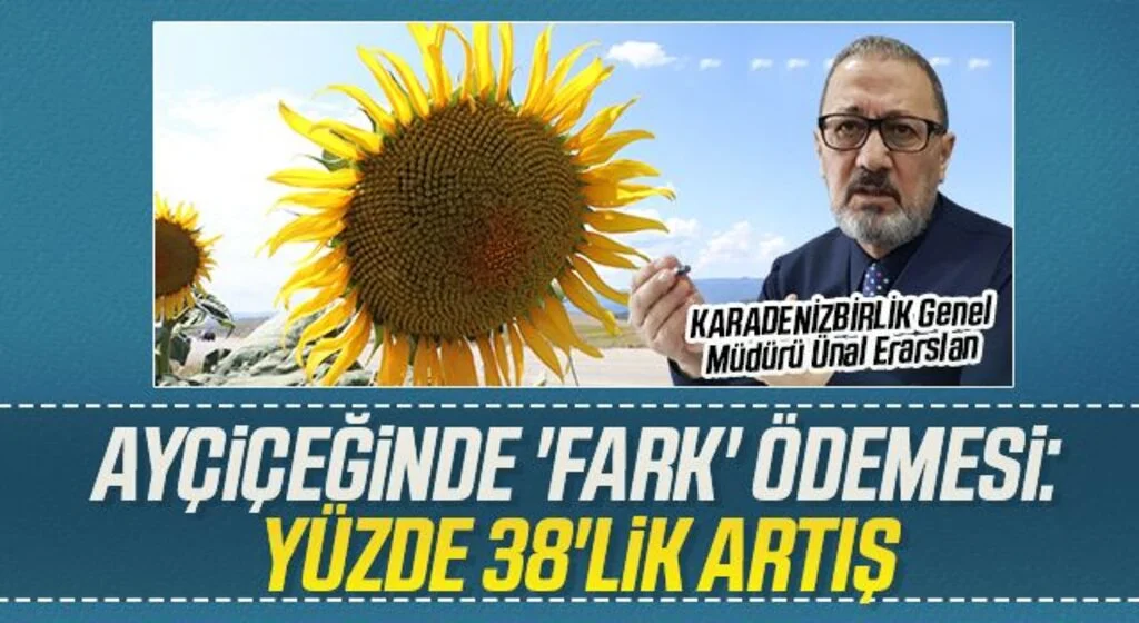 Ayçiçeğinde 'fark' ödemesi: Yüzde 38'lik artış