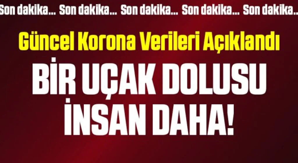 Bakan Koca kritik tabloyu paylaştı! Bir uçak dolusu insan daha…