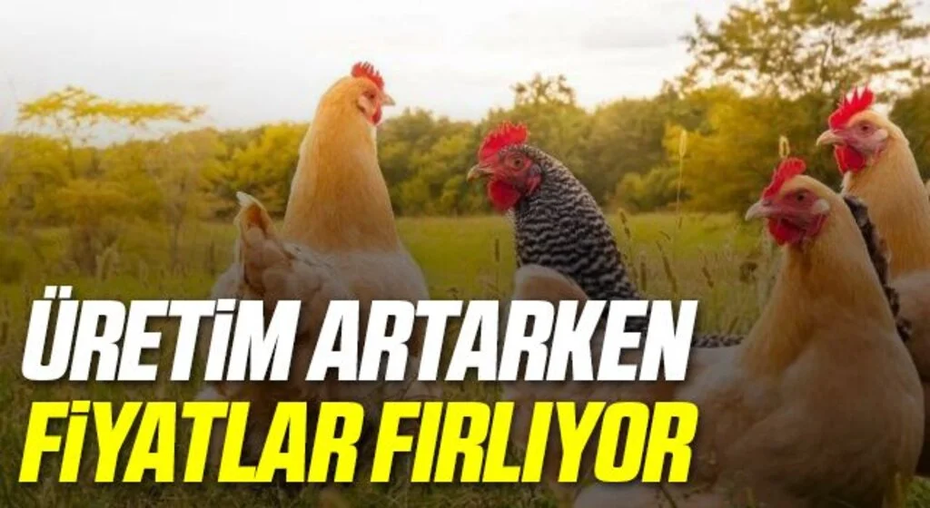 Beyaz etteki zamlar kırmızı eti solladı