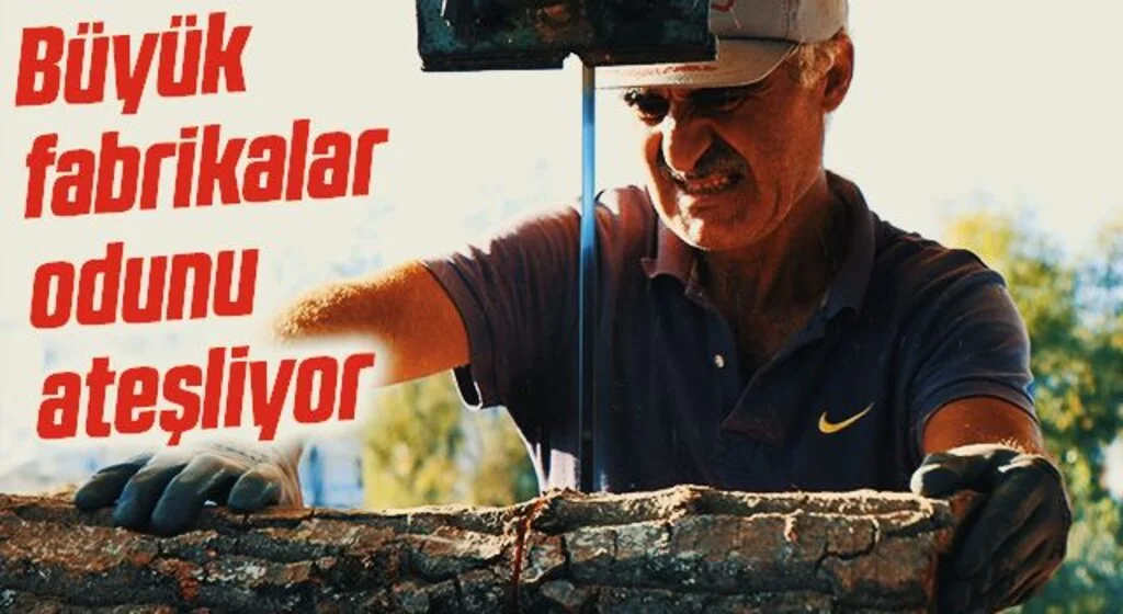 Büyük fabrikalar odunu ateşliyor