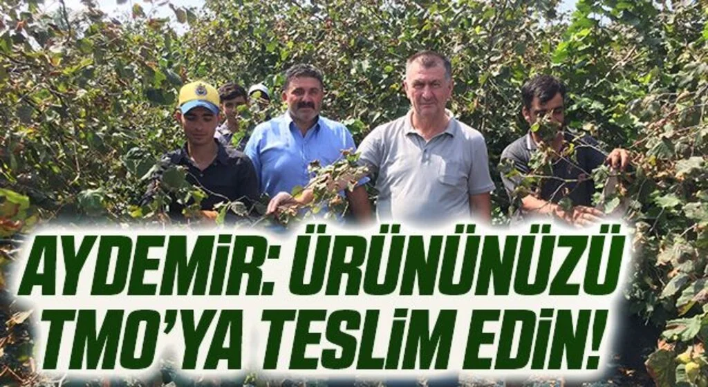 Çarşamba Ziraat Odası Başkanı Muammer Aydemir: Ürününüzü TMO’ya teslim edin!