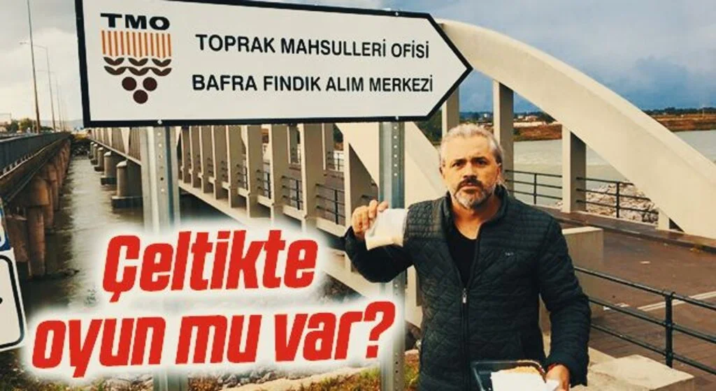 Çeltikte oyun mu var?