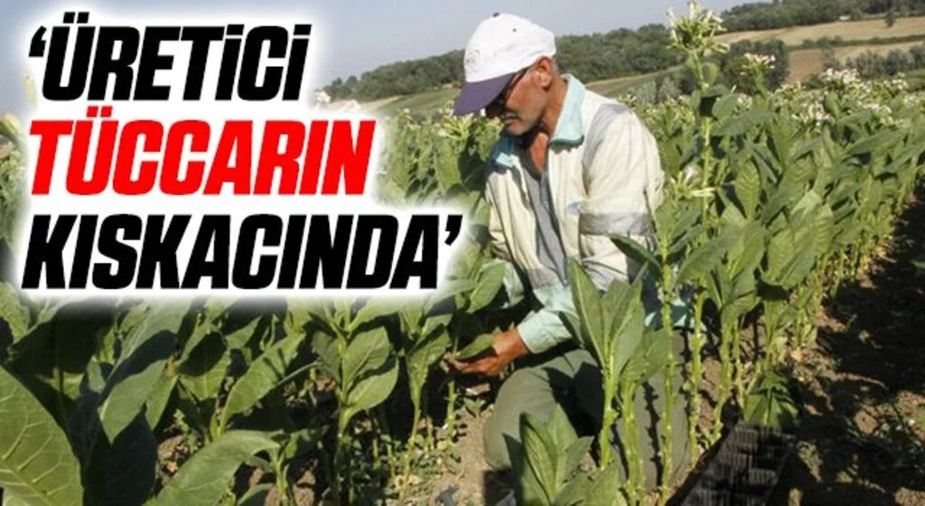 CHP Bafra İlçe Başkanı Vahit Perçin: Üretici tüccarın kıskacında