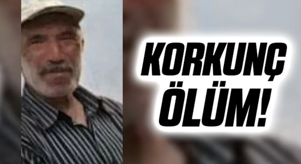 Dananın saldırısına uğrayan çiftçi hayatını kaybetti