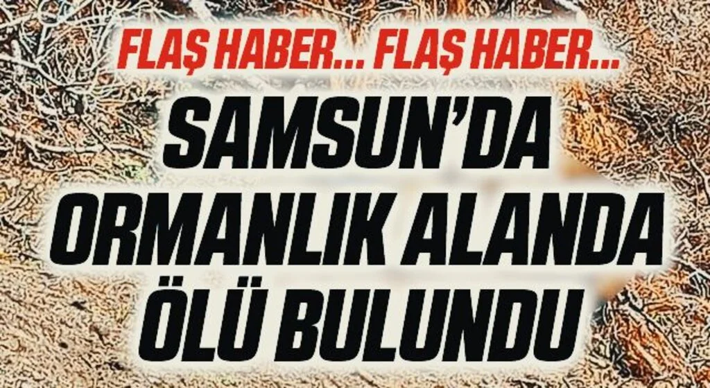 Flaş Haber... Samsun'da Ormanlık Alanda Ölü Bulundu