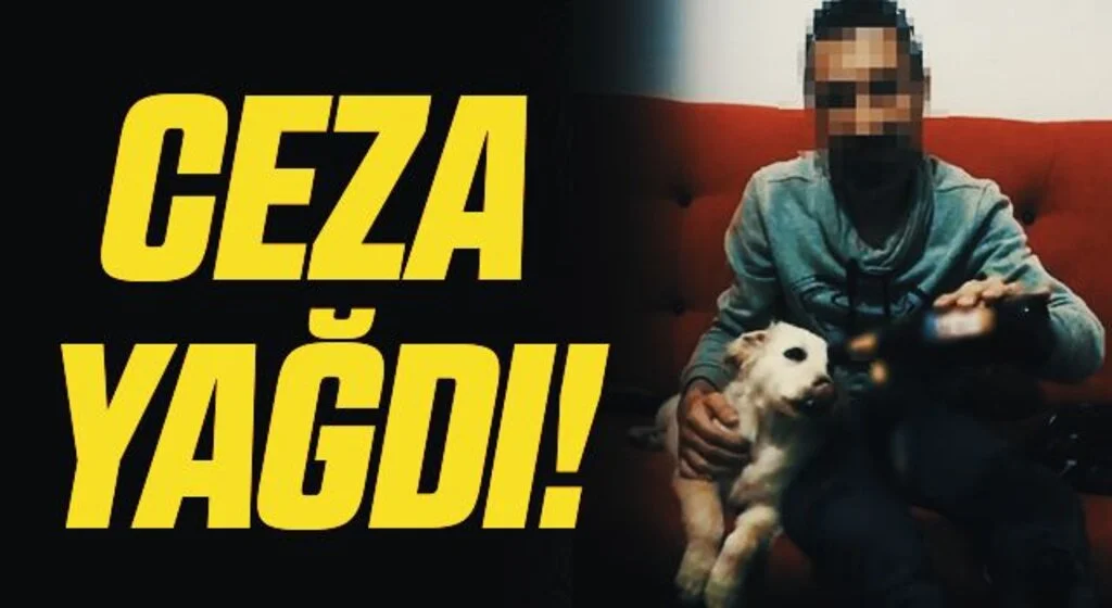 Hayvanlara kötü davranan 17 kişiye 70 bin TL ceza