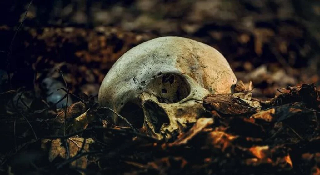 Homo bodoensis adlı yeni bir insan türü keşfedildi