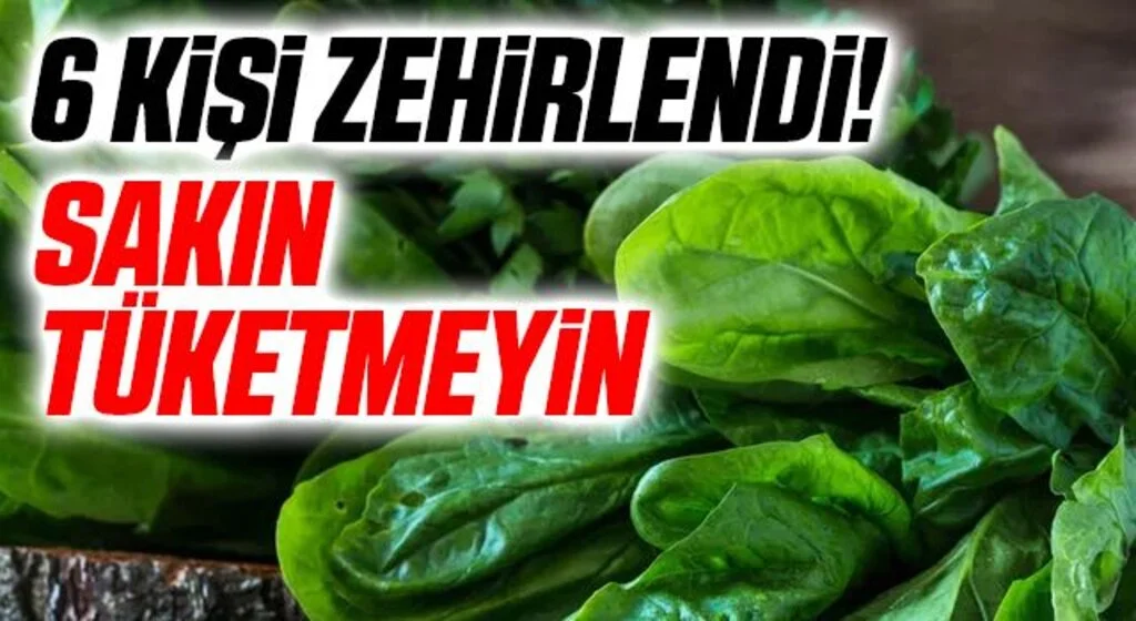 İl Sağlık Müdürlüğü'nden 'ıspanak tüketmeyin' uyarısı!