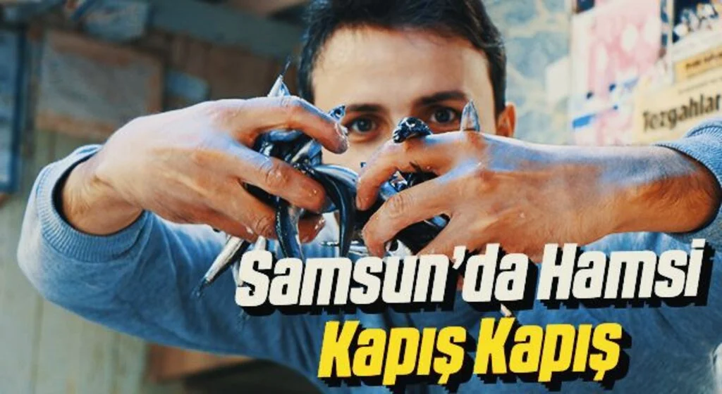 Karadeniz'in incisi 'iri hamsi' 15 liradan kapış kapış gidiyor