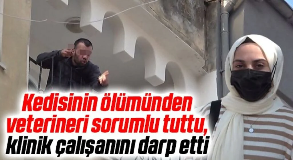 Kedisinin ölümünden veterineri sorumlu tuttu, klinik çalışanını darp etti