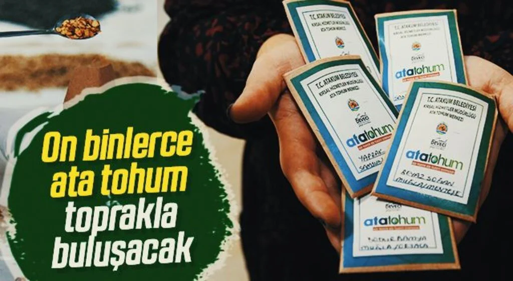 On binlerce ata tohum toprakla buluşacak