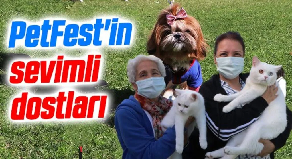 PetFest'in sevimli dostları