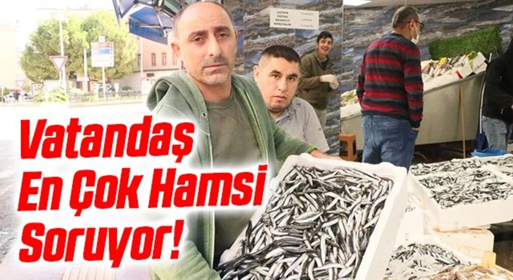 Samsun'da hamsinin kilogramı 15-20 liradan satılıyor