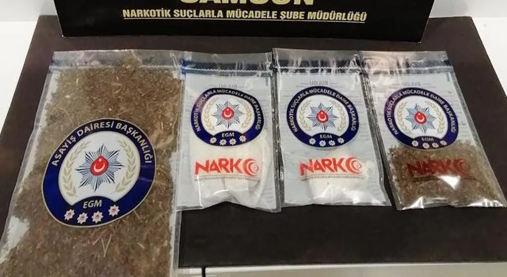 Samsun'da satışa hazır bonzai ile yakalanan bir kişi gözaltına alındı