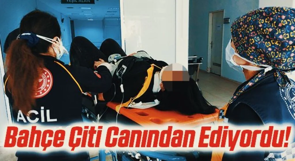 Samsun'da yaslandığı bahçe çiti yerinden çıkan kadın sırt üste düşerek ölümden döndü