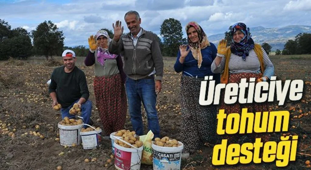 Üreticiye tohum desteği