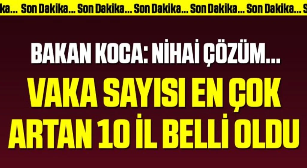 Vaka sayısı en çok artan 10 il belli oldu