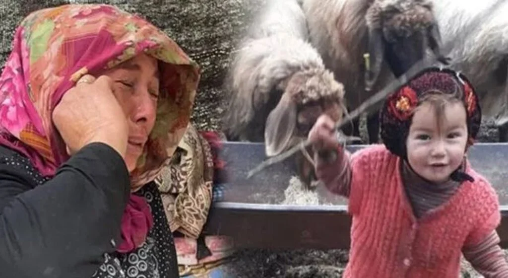 10 gündür aranıyordu! Küçük Müslüme'den acı haber geldi