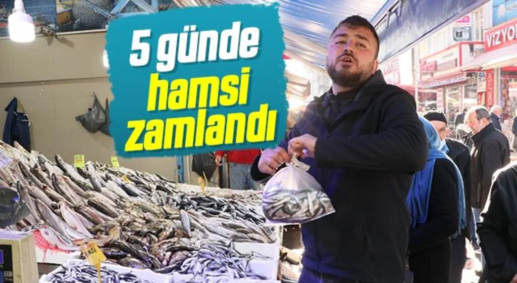 5 günde hamsi zamlandı