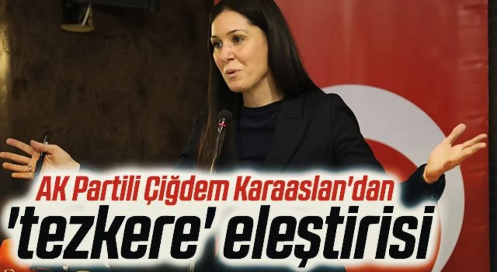 AK Partili Çiğdem Karaaslan'dan 'tezkere' eleştirisi